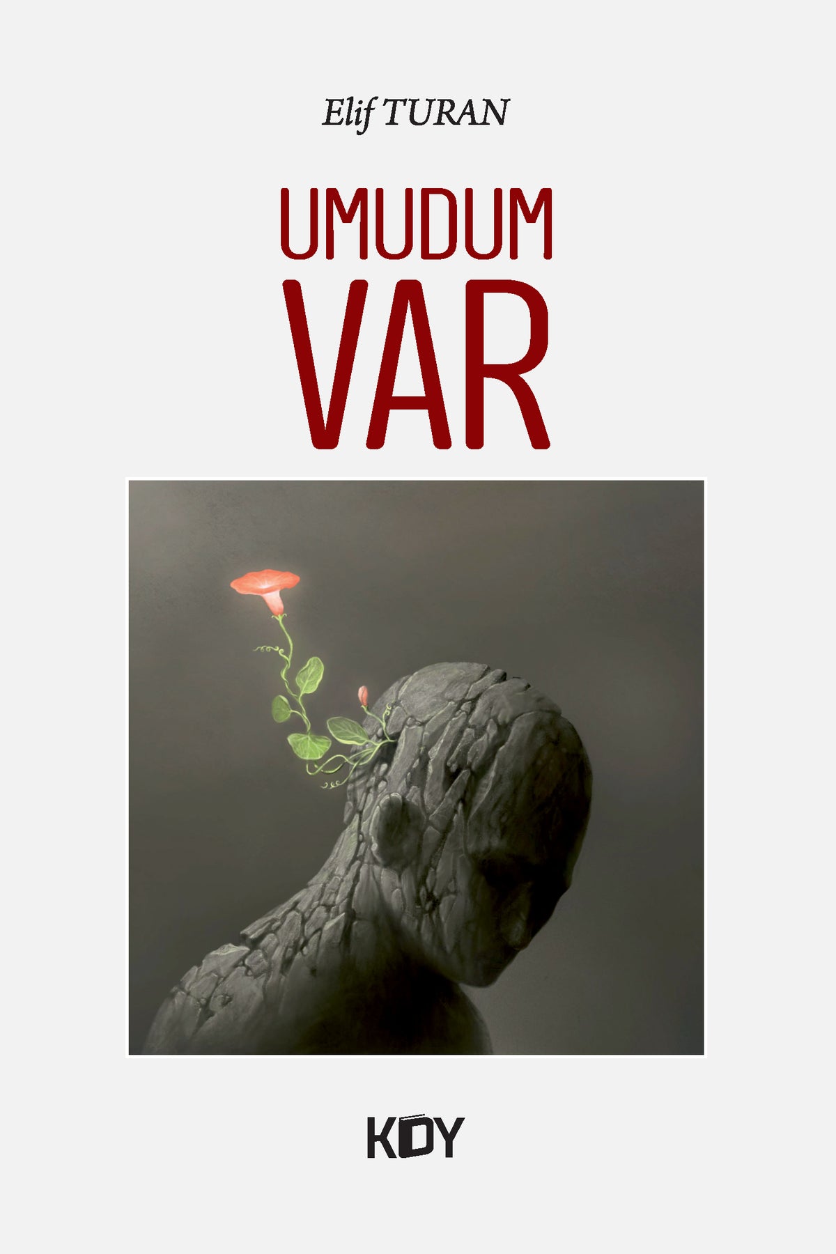Umudum Var - Elif Turan kitap kapağı