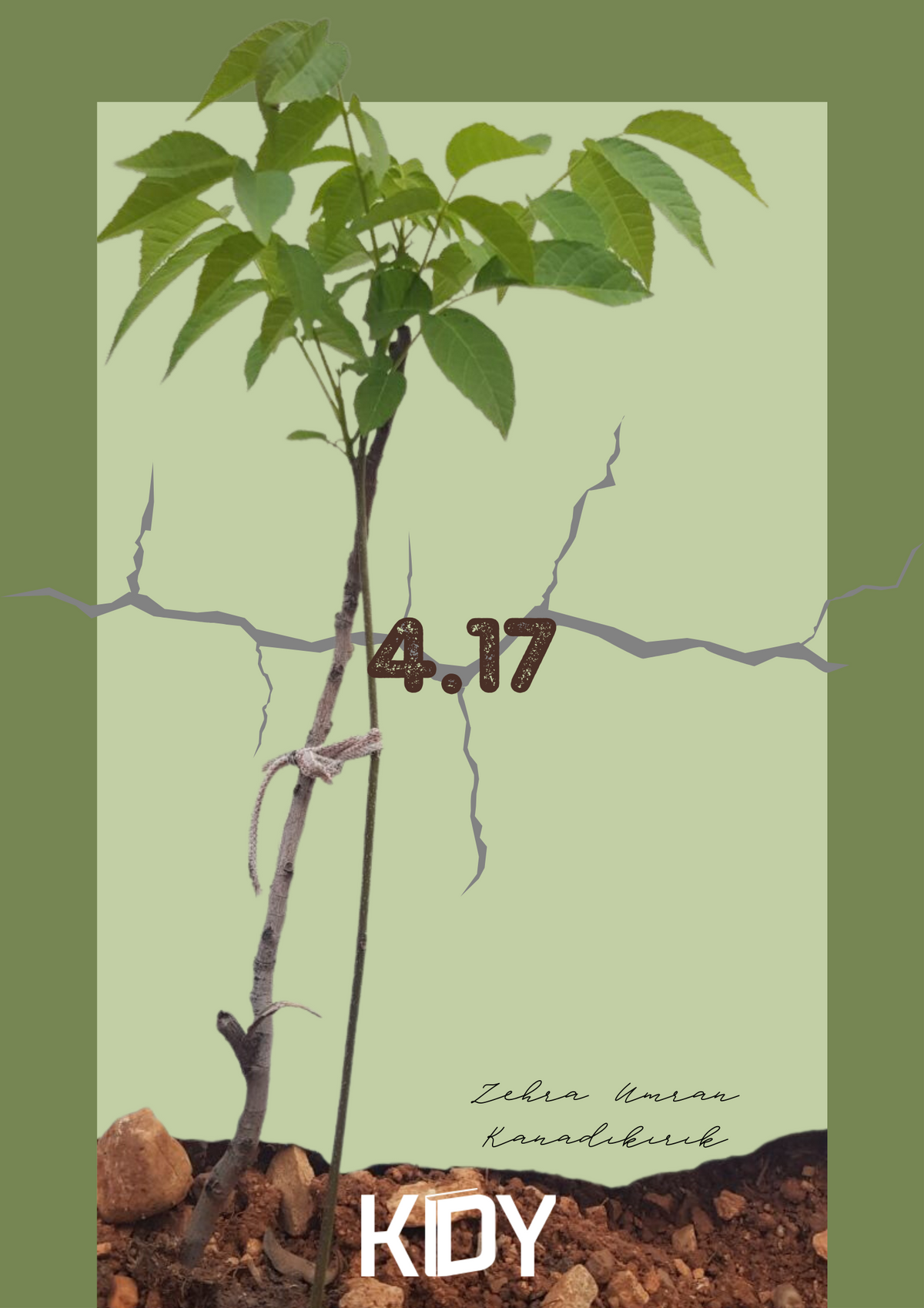 4.17 - Zehra Umran Kanadıkırık kitap kapağı