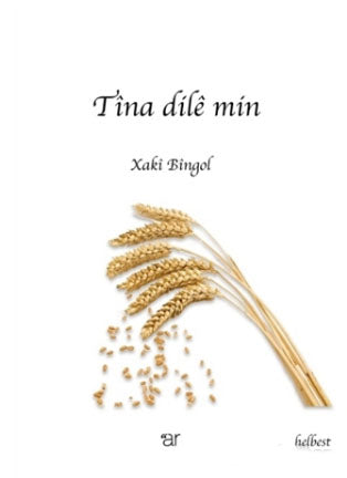 Tina Dile Min - Xaki Bingol kitap kapağı