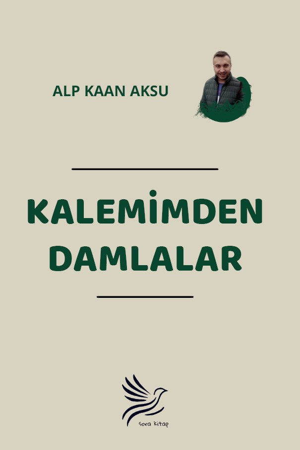 Kalemimden Damlalar - Alp Kaan Aksu kitap kapağı