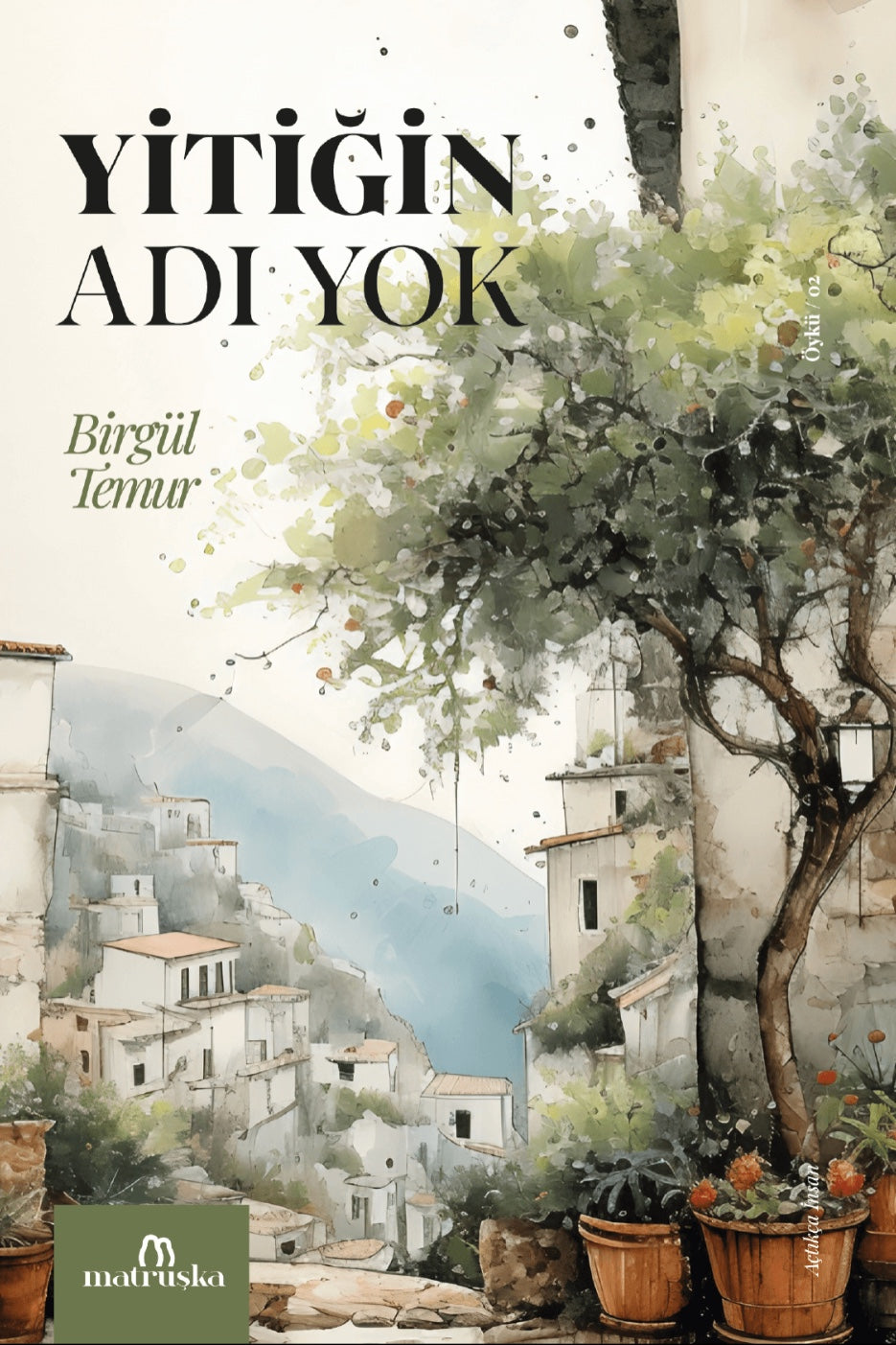 Yitiğin Adı Yok - Birgül Temur kitap kapağı