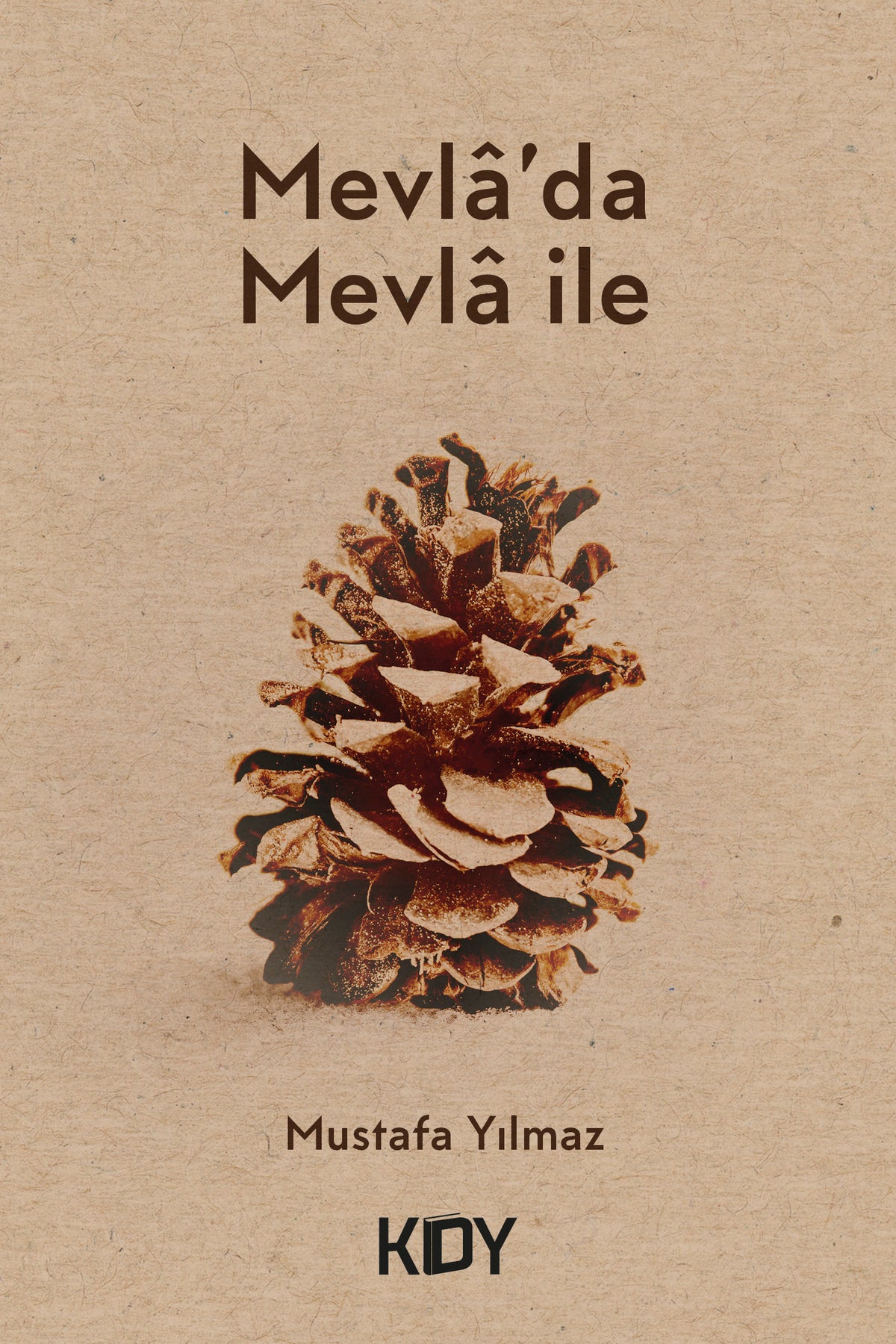 Mevla'da Mevla ile - Mustafa Yılmaz kitap kapağı