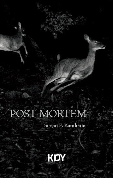 Post Mortem - Serçin F. Kandemir kitap kapağı