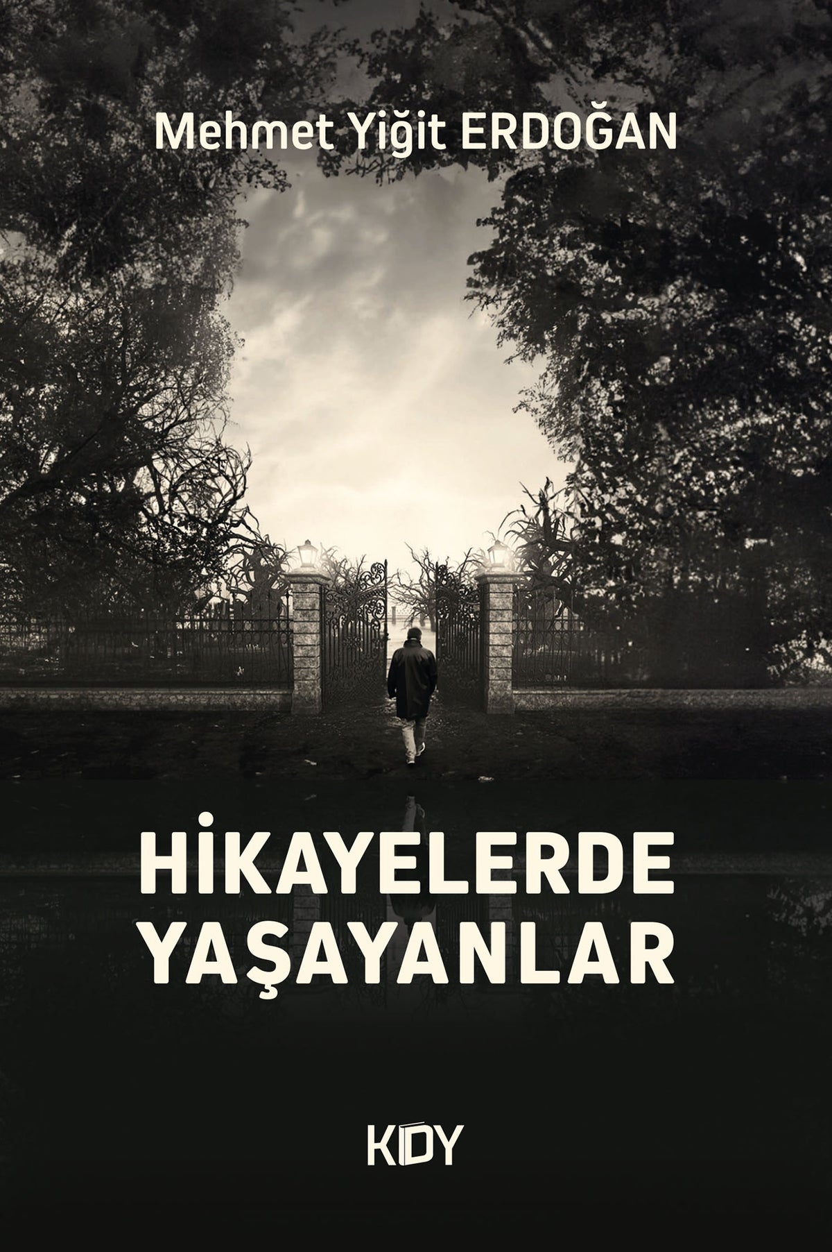 Hikayelerde Yaşayanlar - Mehmet Yiğit Erdoğan kitap kapağı