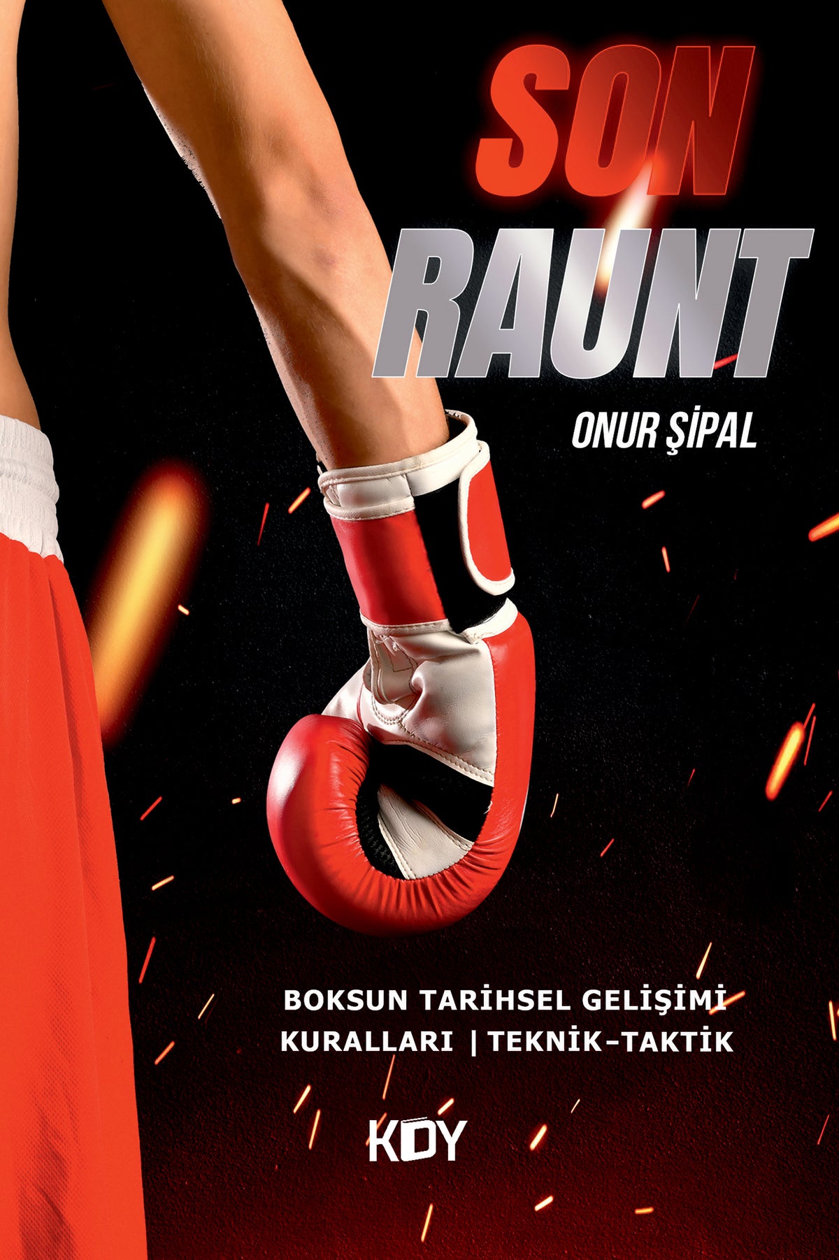 Son Raunt - Onur Şipal kitap kapağı