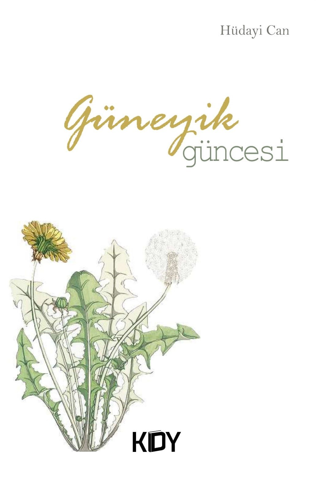 Güneyik Güncesi - Hüdayi Can kitap kapağı