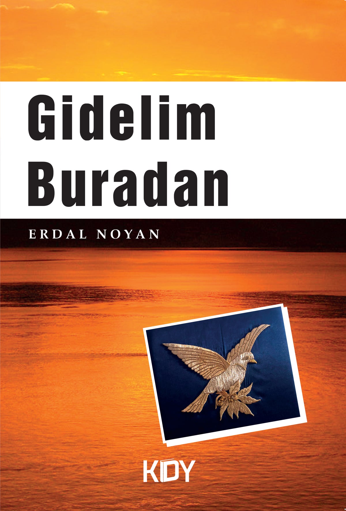 Gidelim Buradan - Erdal Noyan kitap kapağı