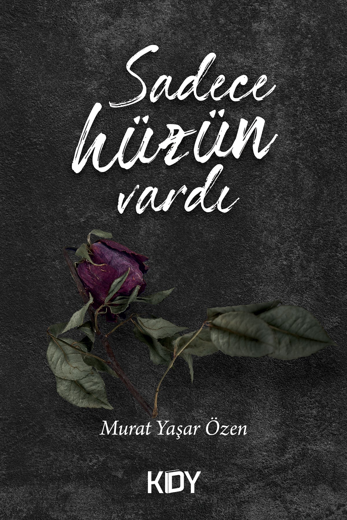 Sadece Hüzün Vardı - Murat Yaşar Özen kitap kapağı
