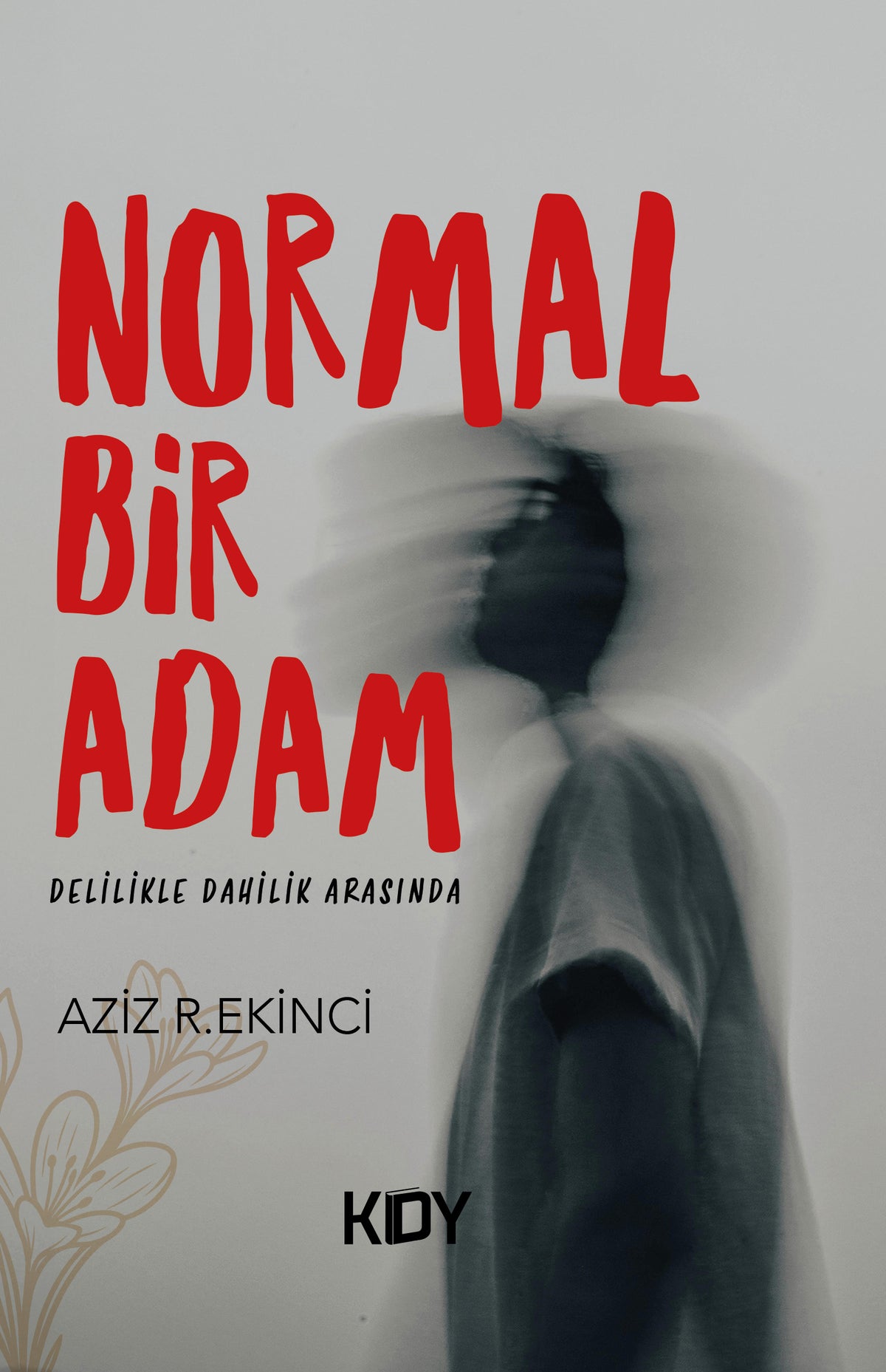 Normal Bir Adam - Aziz R. Ekinci kitap kapağı