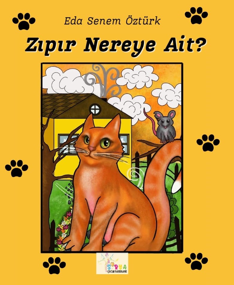 Zıpır Nereye Ait? - Eda Senem Öztürk kitap kapağı