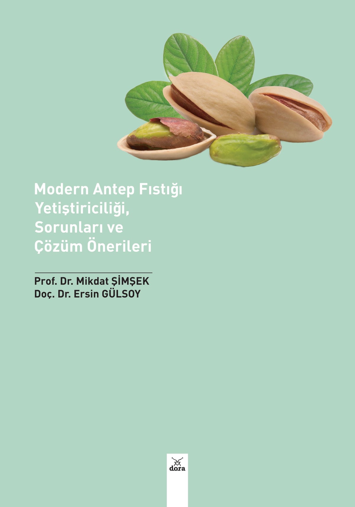 Modern Antep Fıstığı Yetiştiriciliği Sorunları ve Çözüm Önerileri - Doç. Dr. Ersin Gülsoy kitap kapağı
