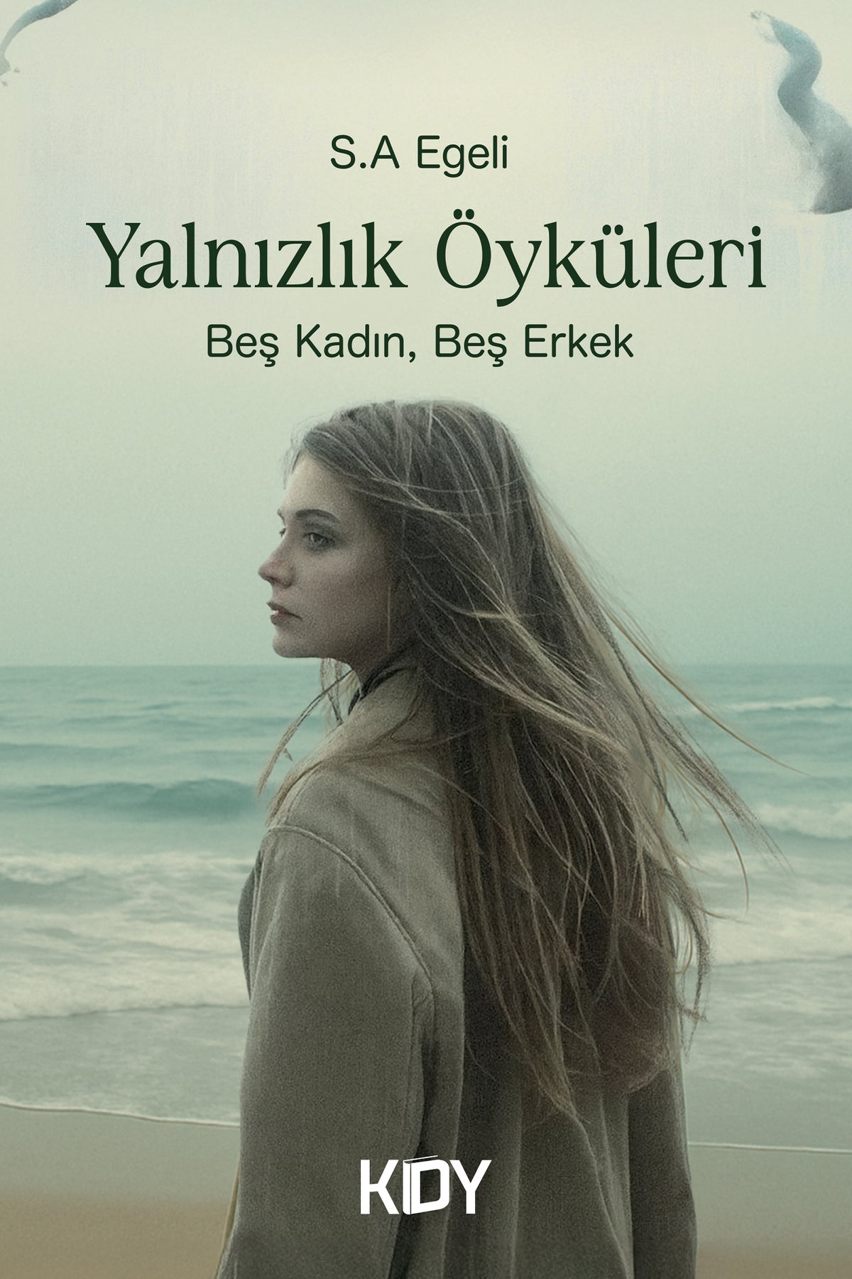 Yalnızlık Öyküleri - S. A. Egeli kitap kapağı