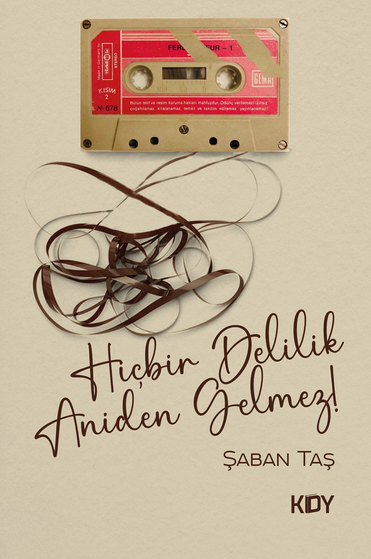 Hiçbir Delilik Aniden Gelmez! - Şaban Taş kitap kapağı