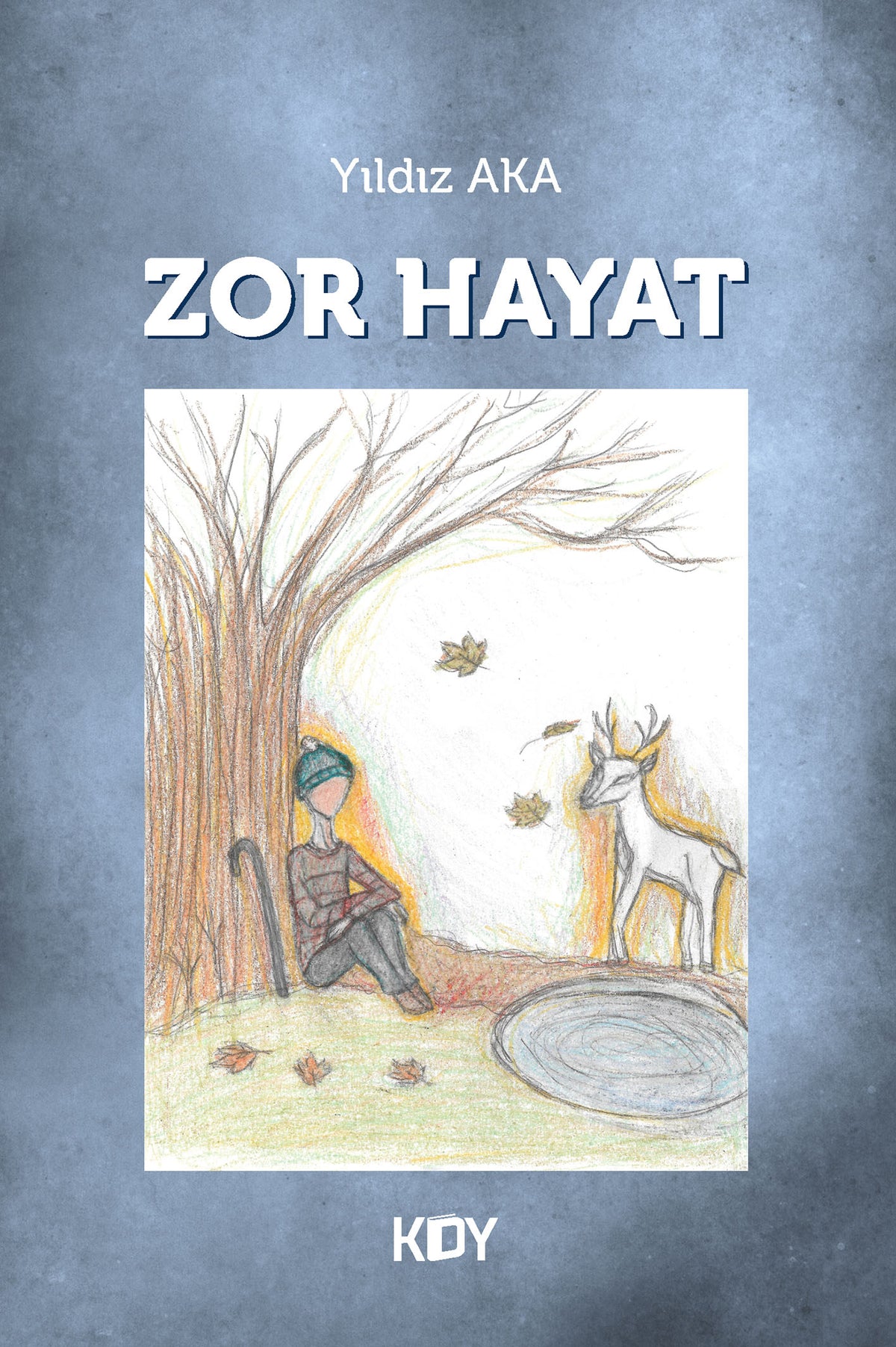 Zor Hayat - Yıldız Aka kitap kapağı