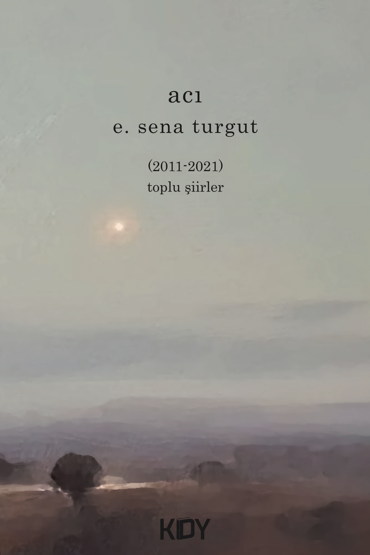Acı - E. Sena Turgut kitap kapağı