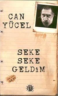 Seke Seke Geldim - Kıvanç Kardeşler kitap kapağı