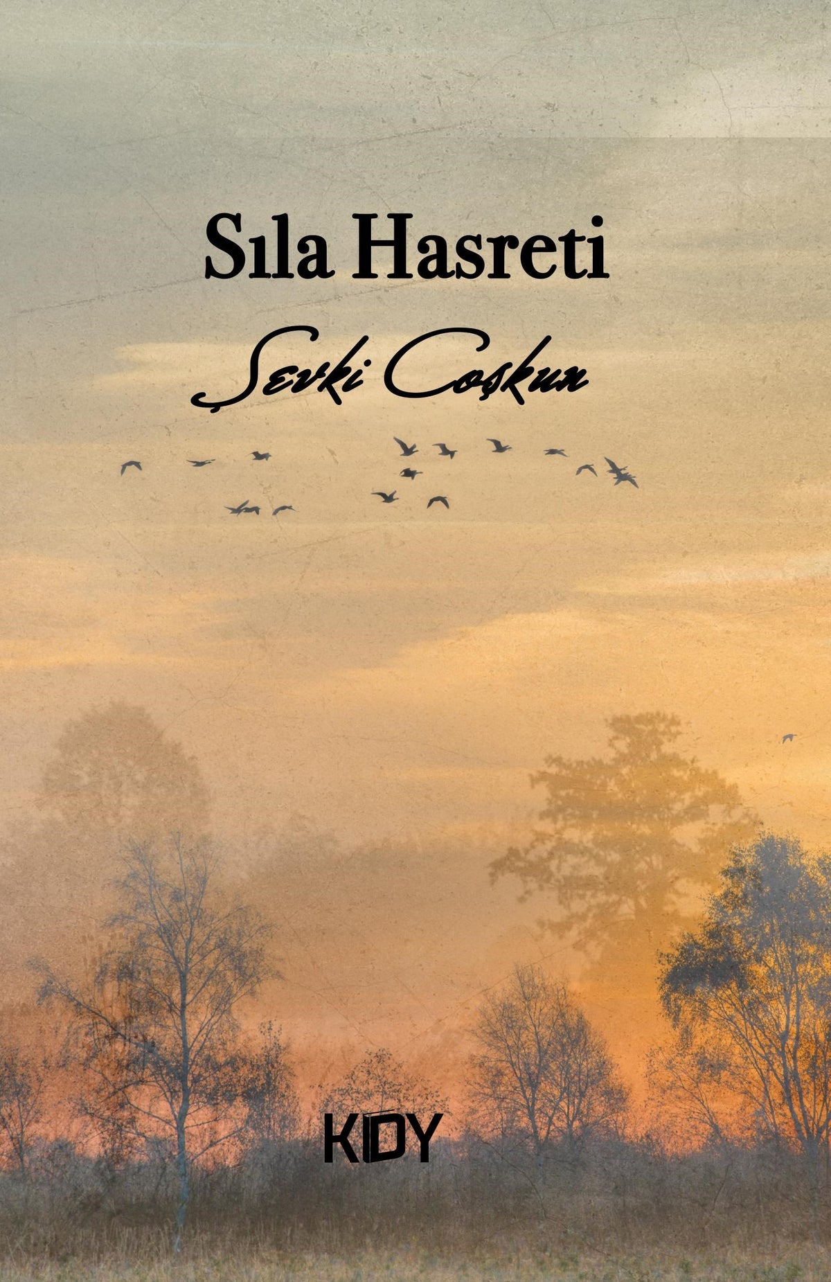 Sıla Hasreti - Şevki Coşkun kitap kapağı
