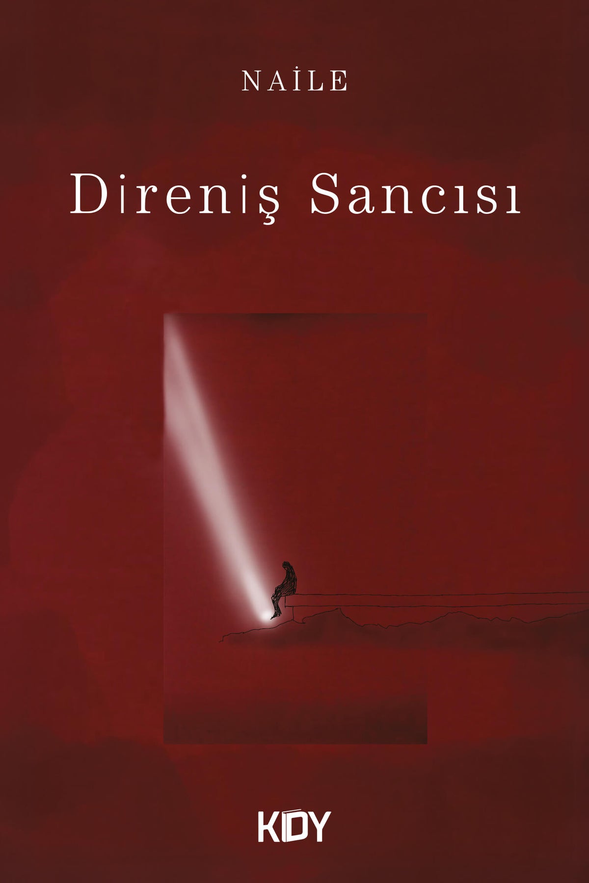 Direniş Sancısı - Naile kitap kapağı