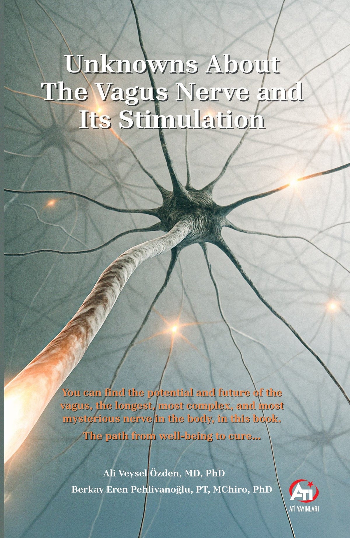 Unknowns About The Vagus Nerve and Its Stimulation - Berkay Eren Pehlivanoğlu kitap kapağı