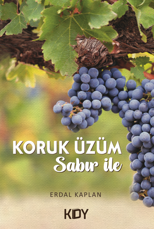 Koruk Üzüm Sabır İle - Erdal Kaplan kitap kapağı