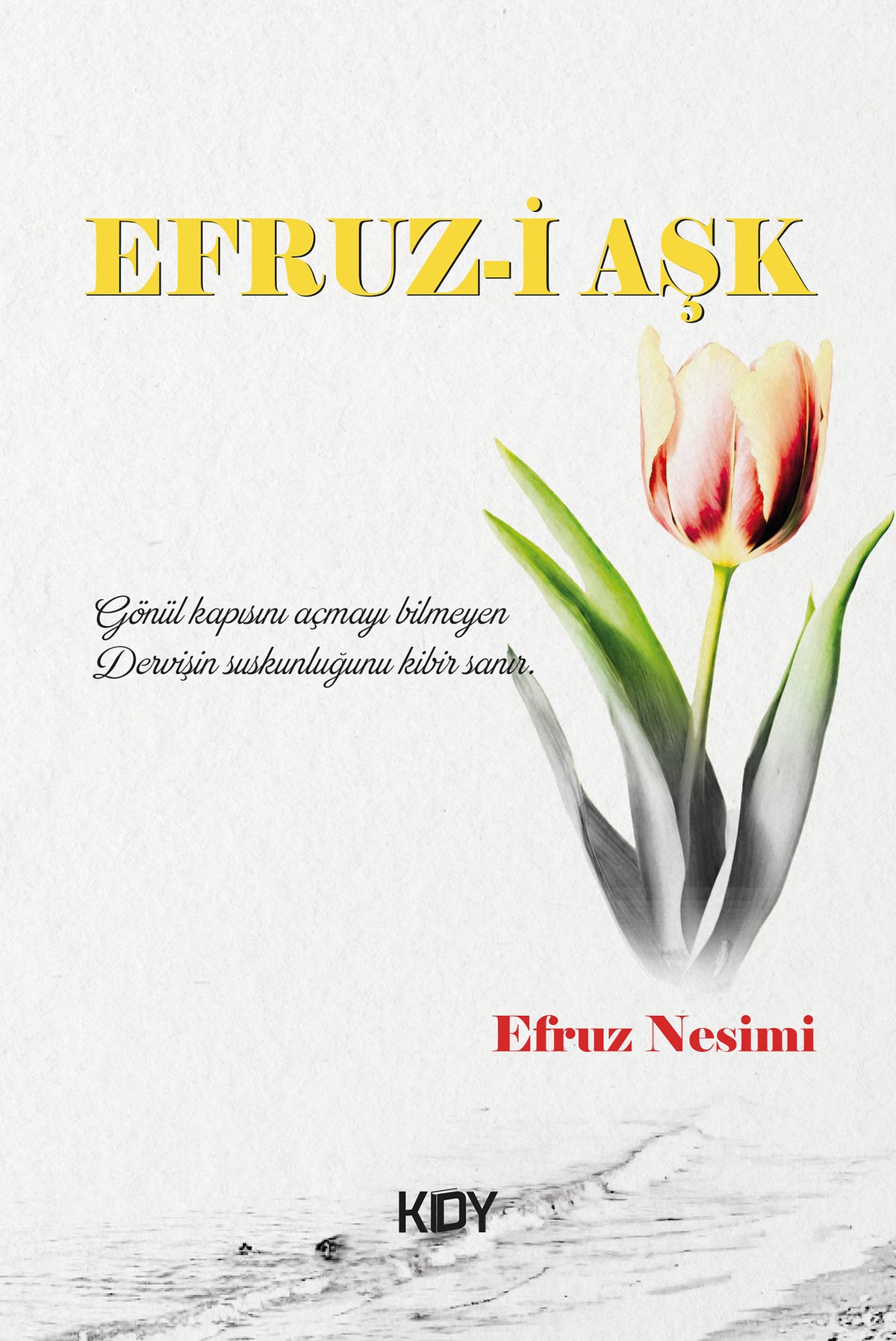Efruz-i Aşk - Efruz Nesimi kitap kapağı