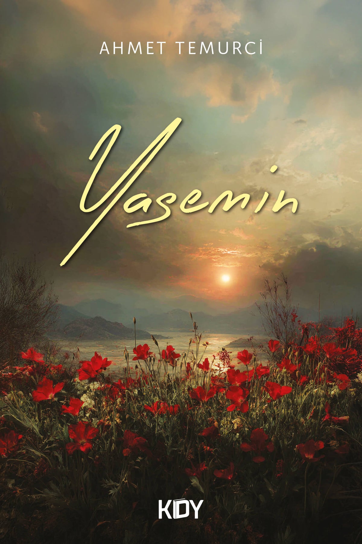 Yasemin - Ahmet Temurci kitap kapağı