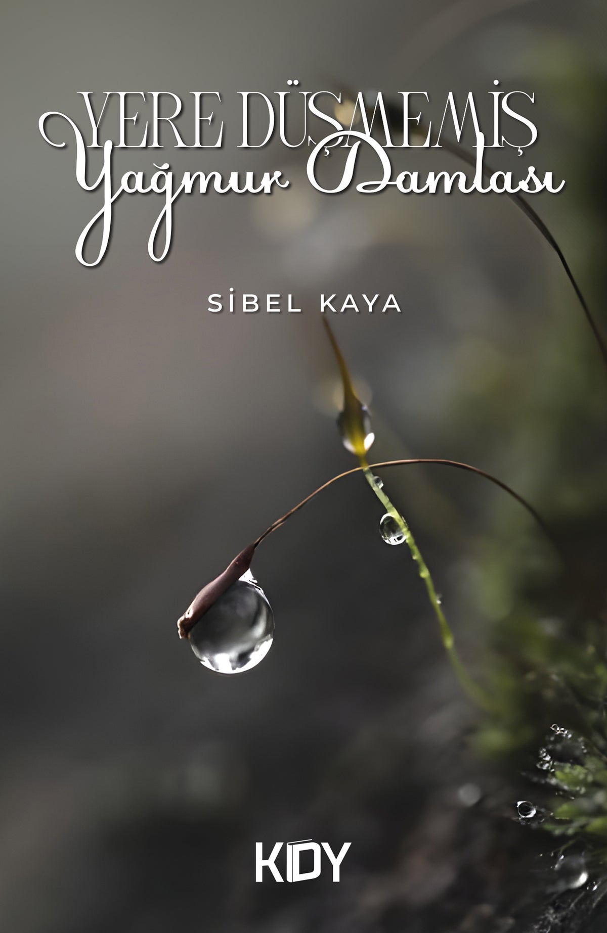 Yere Düşmemiş Yağmur Damlası - Sibel Kaya kitap kapağı