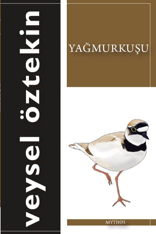 Yağmurkuşu - Veysel Öztekin kitap kapağı