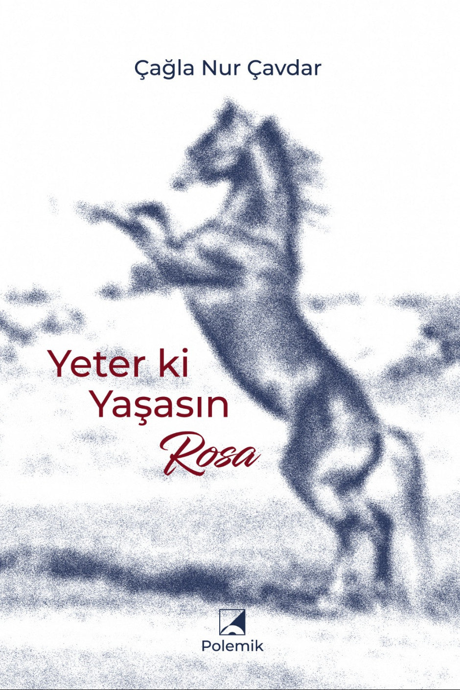 Yeter ki Yaşasın Rosa - Çağla Nur Çavdar kitap kapağı