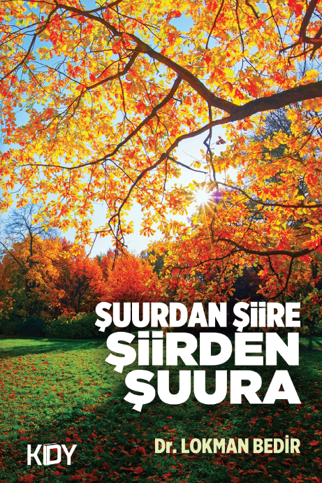 Şuurdan Şiire Şiirden Şuura - Lokman Bedir kitap kapağı