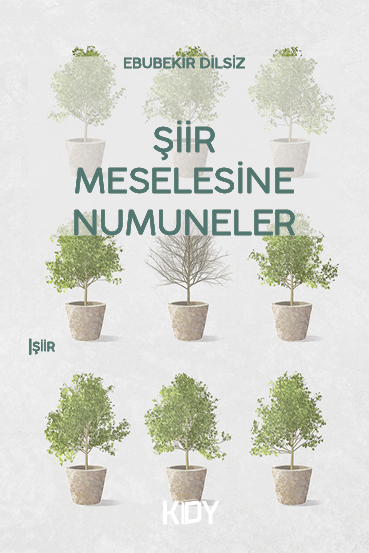 Şiir Meselesine Numuneler - Ebubekir Dilsiz kitap kapağı
