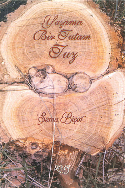 Yaşama Bir Tutam Tuz - Sema Biçer kitap kapağı