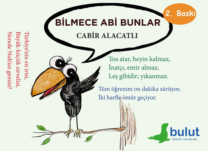 Bilmece Abi Bunlar - Cabir Alacatlı kitap kapağı