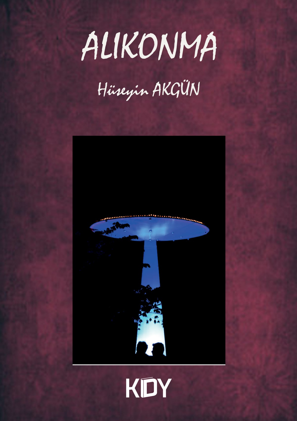 Alıkonma - Hüseyin Akgün kitap kapağı