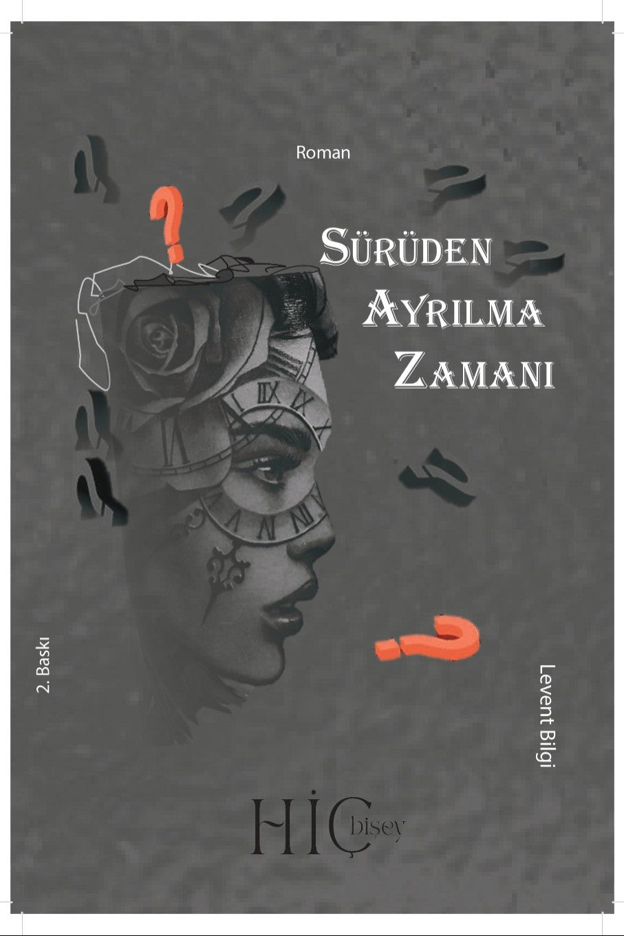 Sürüden Ayrılma Zamanı - Levent Bilgi kitap kapağı
