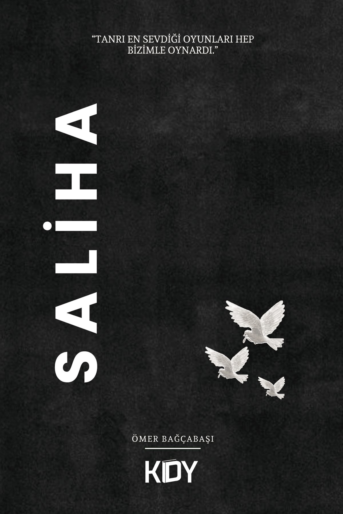 Saliha - Ömer Bağçabaşı kitap kapağı