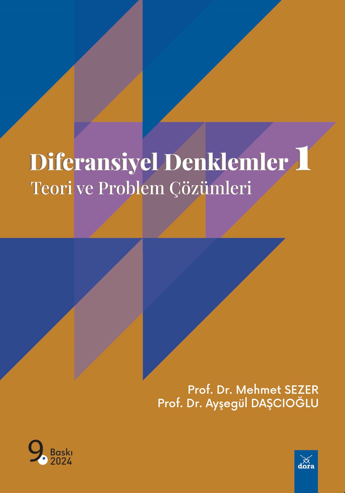 Diferansiyel Denklemler 1 Teori ve Problem Çözümleri - Prof. Dr. Ayşegül Daşcıoğlu kitap kapağı