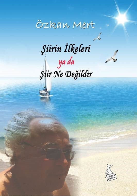 Şiirin İlkeleri ya da Şiir Ne Değildir? - Özkan Mert kitap kapağı