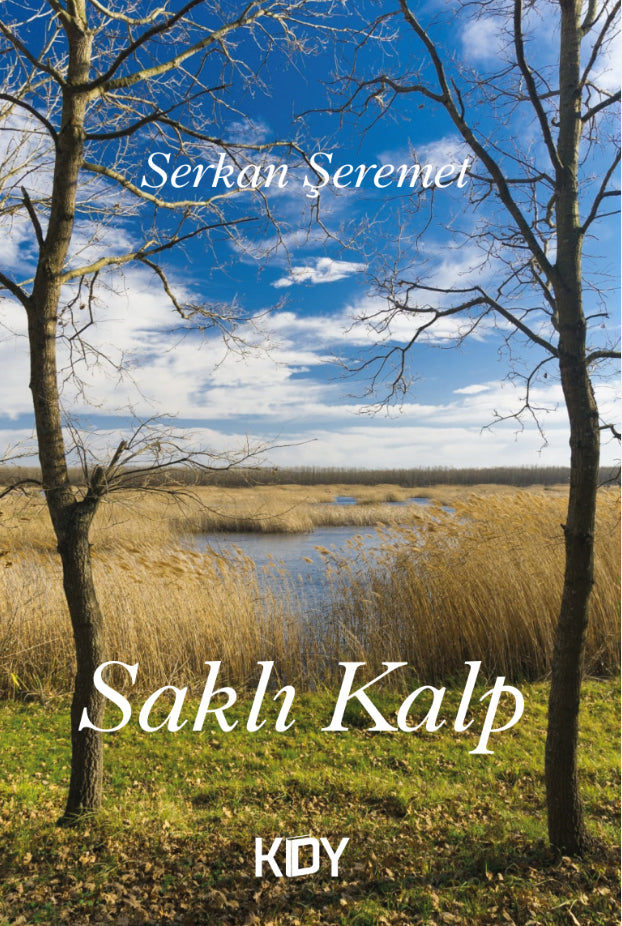 Saklı Kalp - Serkan Şeremet kitap kapağı