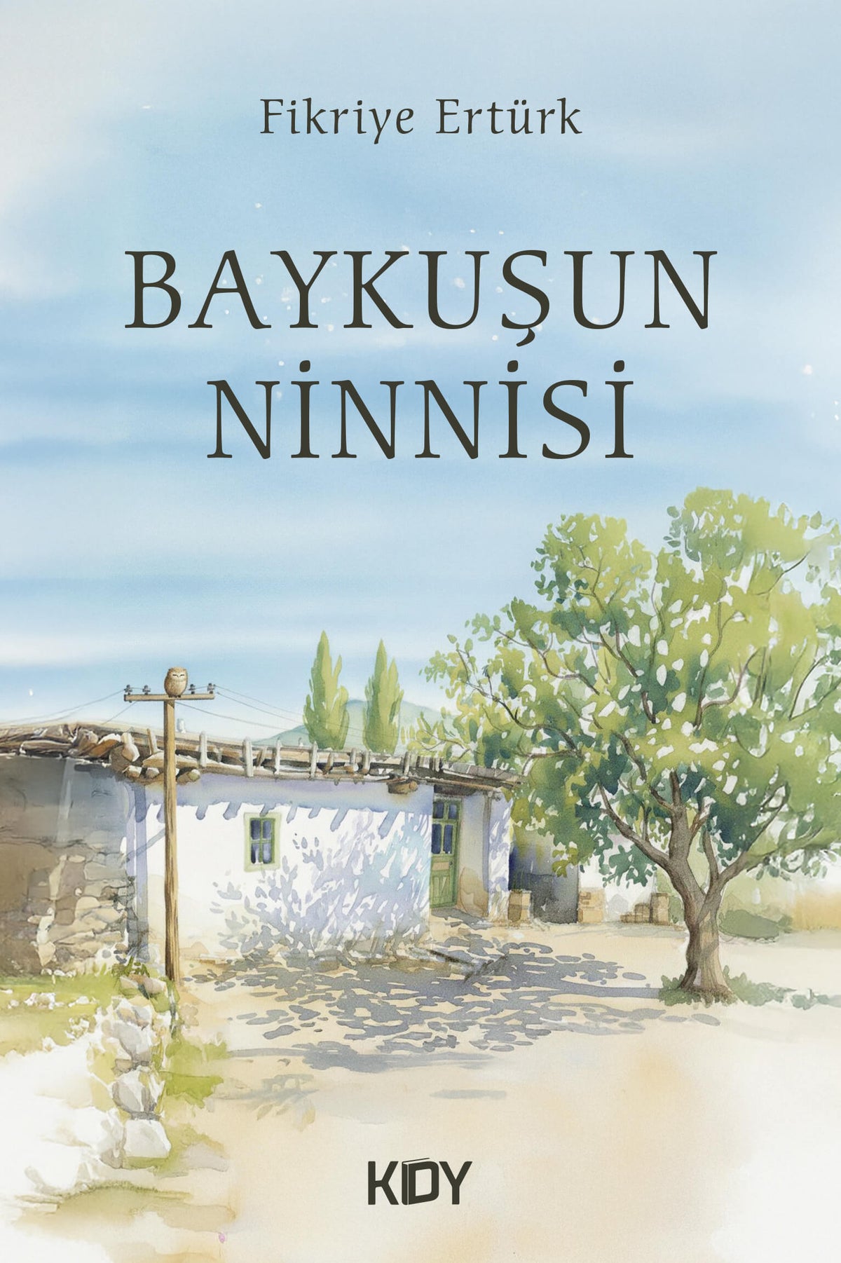 Baykuşun Ninnisi - Fikriye Ertürk kitap kapağı