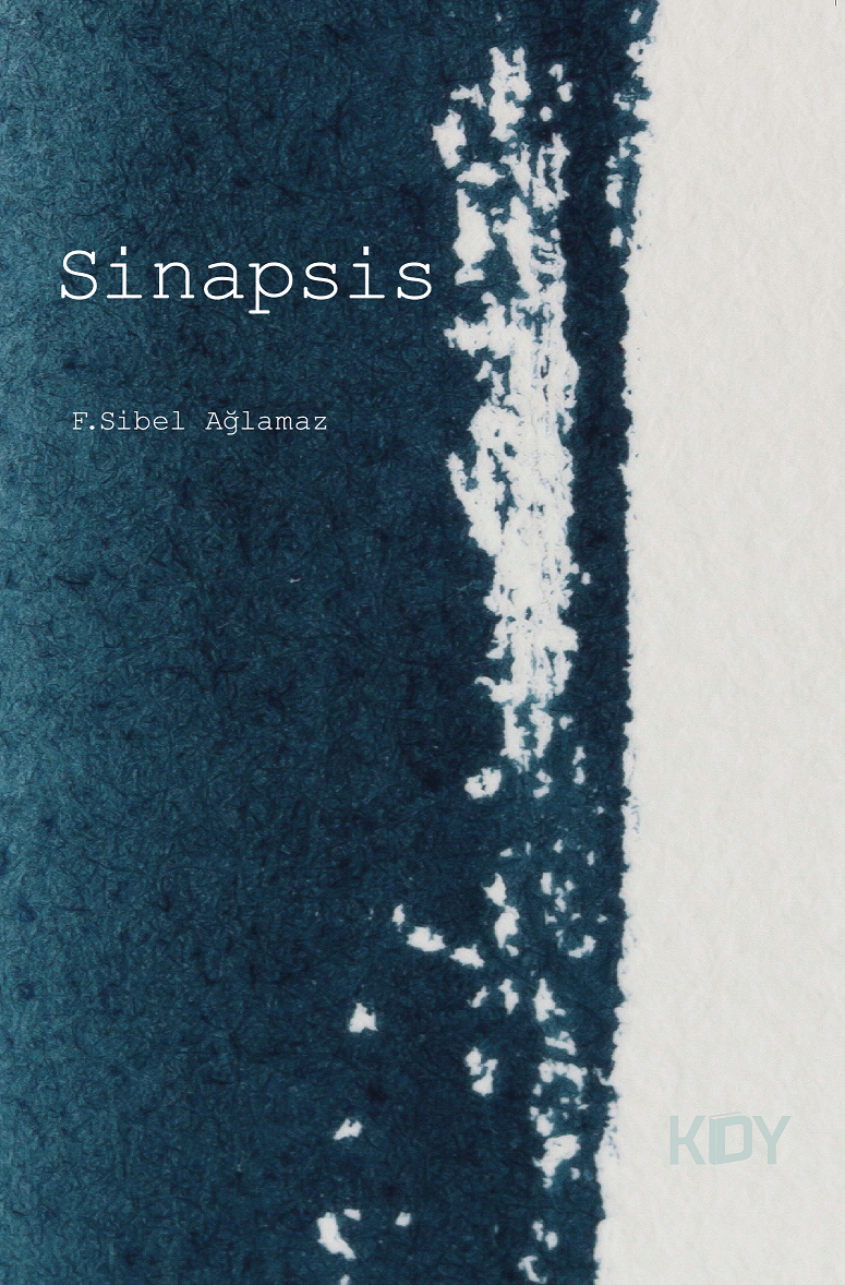 Sinapsis - Fatma Sibel Ağlamaz kitap kapağı