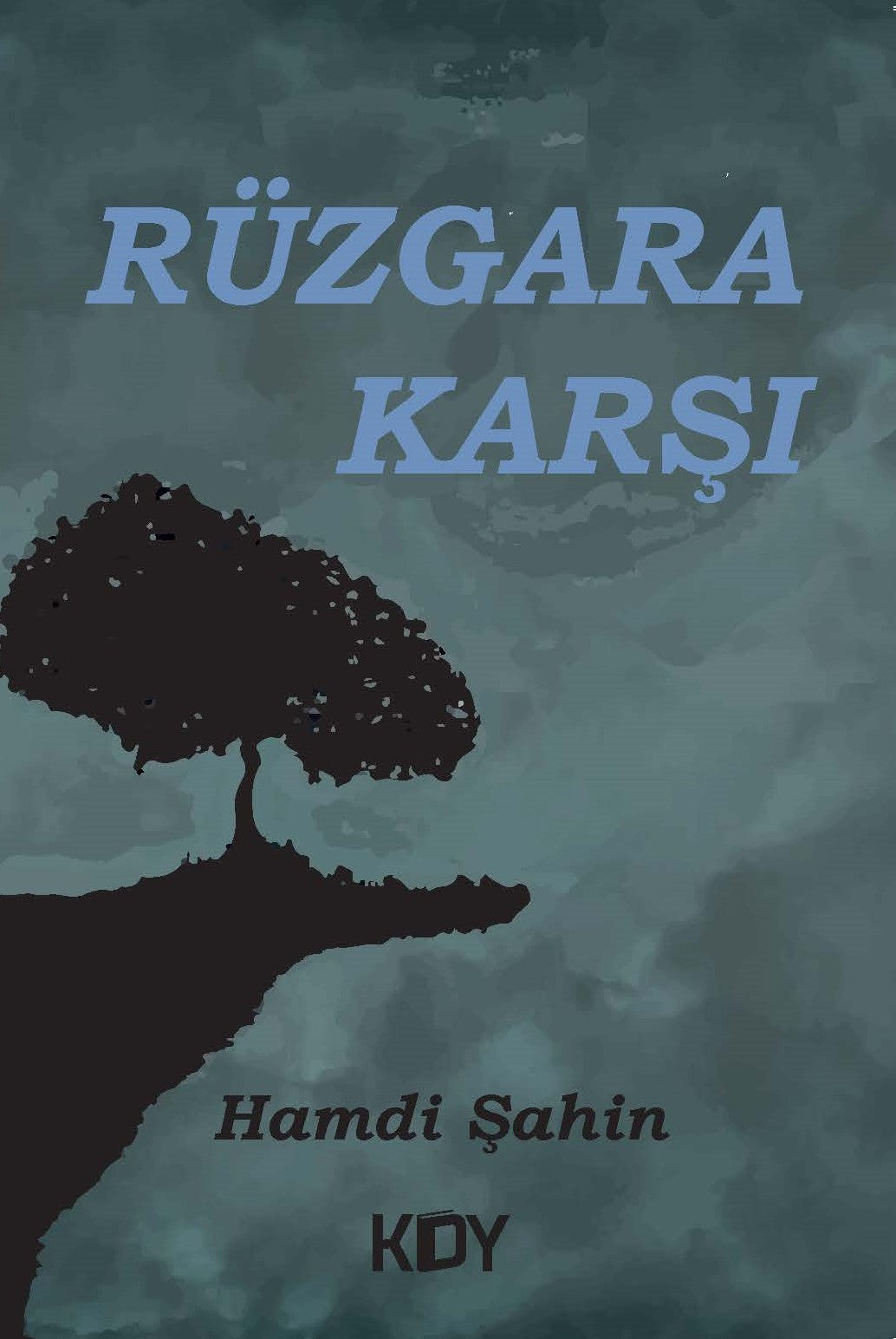 Rüzgara Karşı - Hamdi Şahin kitap kapağı