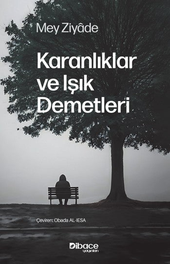 Karanlıklar ve Işık Demetleri - Mey Ziyade kitap kapağı