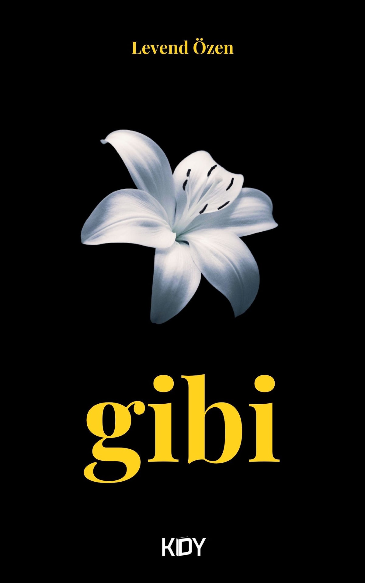 Gibi - Levend Özen kitap kapağı