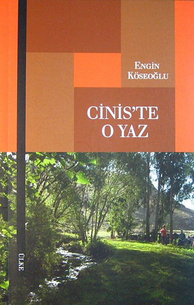 Cinis'te O Yaz - Engin Köseoğlu kitap kapağı