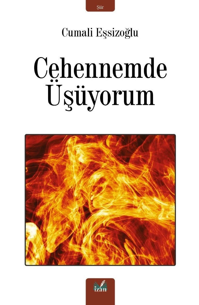 Cehennemde Üşüyorum - Cumali Eşsizoğlu kitap kapağı