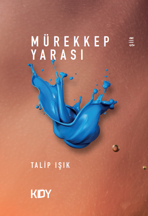 Mürekkep Yarası - Talip Işık kitap kapağı
