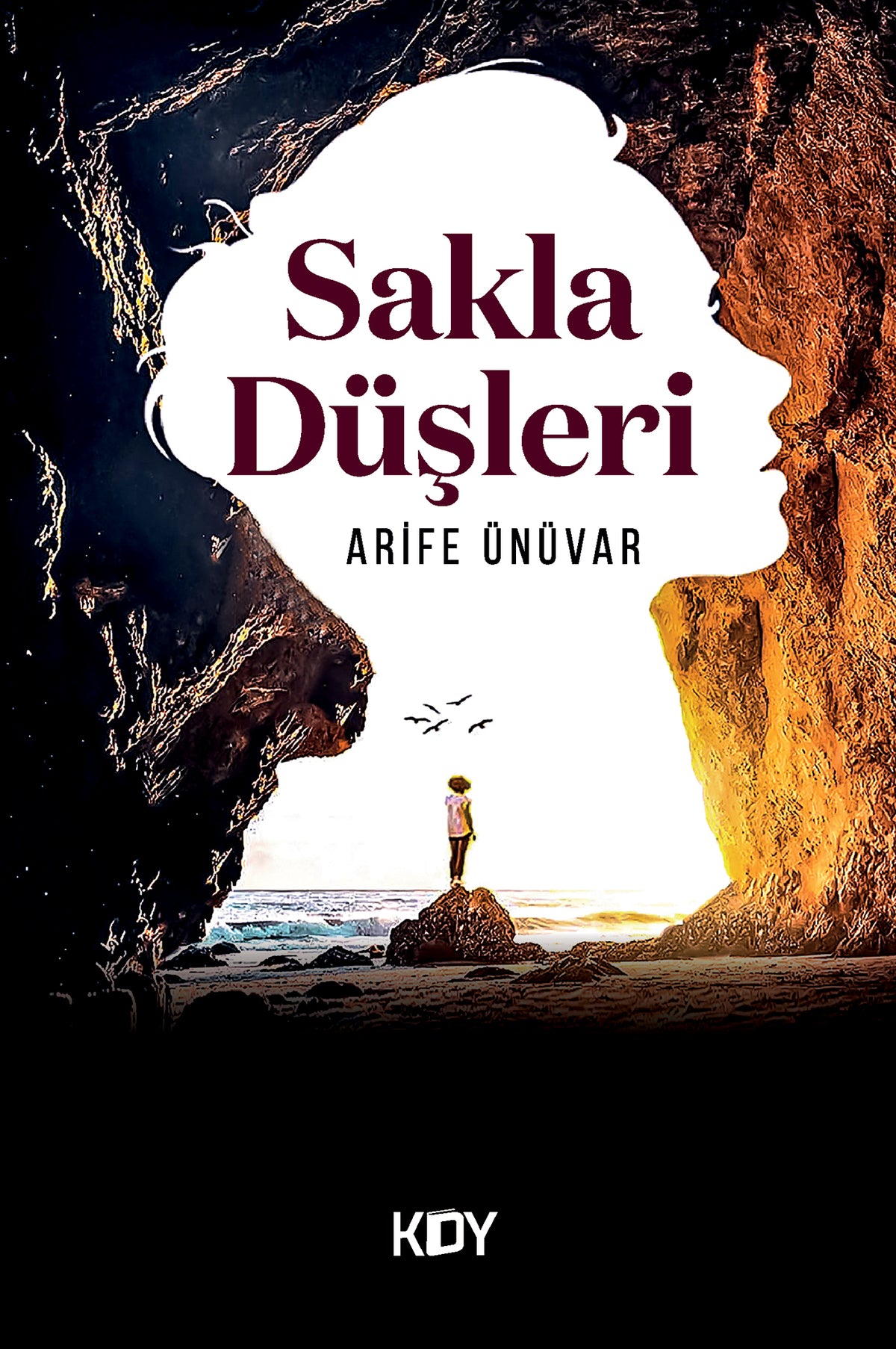 Sakla Düşleri - Arife Ünüvar kitap kapağı