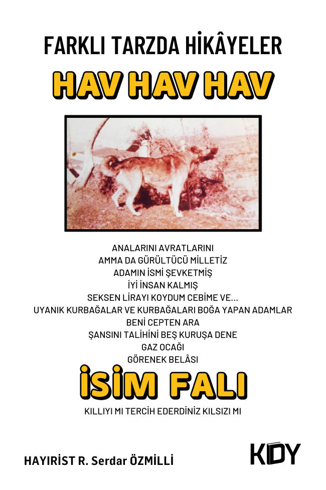 Farklı Tarzda Hikayeler - Serdar Özmilli kitap kapağı