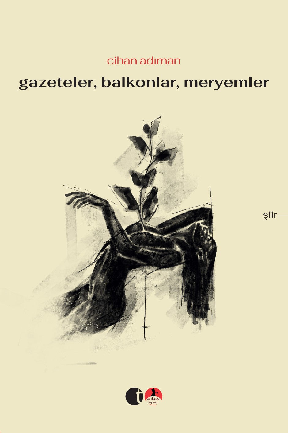 Gazeteler Balkonlar Meryemler - Cihan Adıman kitap kapağı